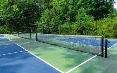 Construction de courts de tennis à Marseille : Les impacts sur la biodiversité locale