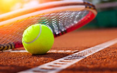 Aménagement Paysager Autour d’un Court de Tennis à Nice : Une Nécessité pour le Constructeur de court de tennis à Nice