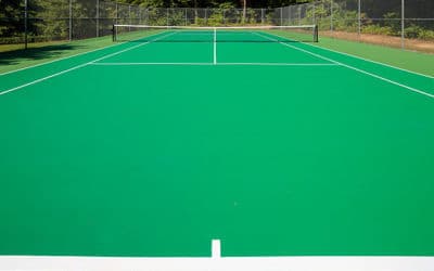 Construction de courts de tennis à Marseille : Les défis de la sécurité des animaux domestiques sur les courts de tennis