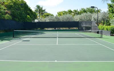 Les impacts potentiels sur la biodiversité locale lors de la construction de courts de tennis à Marseille dans les Bouches-du-Rhône