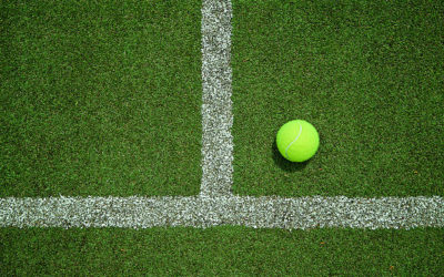 Constructeur de courts de tennis en gazon synthétique Nice les Coûts associés pour les centres de loisirs