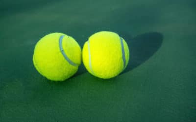 Les aspects environnementaux de la construction d’un court de tennis à Toulon