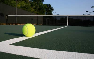 Construction de courts de tennis à Marseille : Les Impacts Potentiels sur les Habitats Naturels Locaux