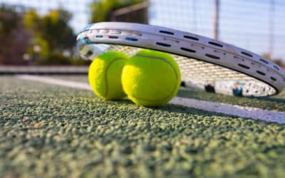 Intégrer la Biodiversité et la Conservation dans la Construction de Court de Tennis à Toulon pour les Hôtels de Luxe