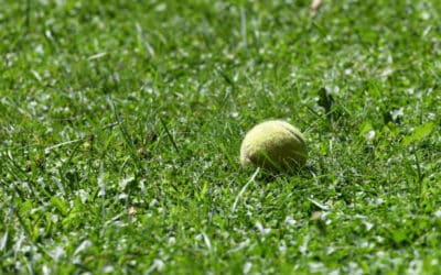 Construction d&rsquo;un court de tennis en gazon synthétique à Nice dans les Alpes Maritimes: Comment choisir le bon fournisseur de gazon synthétique pour un court de tennis à Nice dans les Alpes Maritimes pour les Académies de tennis?