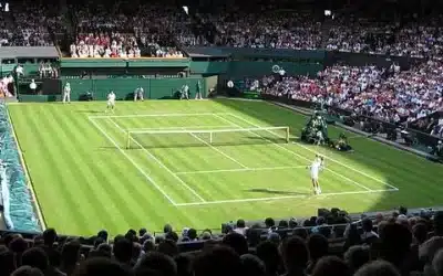Construction d’un Court de Tennis en Gazon Synthétique à Hyères : Prévention des Mauvaises Herbes