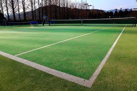 Constructeurs de terrains de tennis à Nice, L’Impact Environnemental d’un Projet de Terrain de Tennis à Nice pour une Villa Privée
