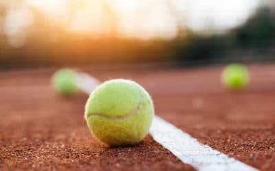 Comment un constructeur de courts de tennis à Nice peut-il assister un hôtel dans le processus d’obtention de l’approbation de la communauté locale ou des voisins pour le projet?