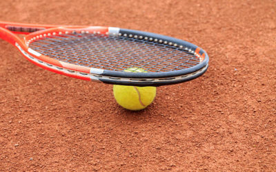 Comment garantir la sécurité des animaux domestiques dans le constructeur de courts de tennis à Nice pour les organes sportifs