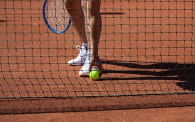 Construction de Courts de Tennis : Promouvoir la Biodiversité Autour des Courts de Tennis à Paris