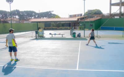 Pourquoi la rénovation de courts de tennis à Nice devrait-elle inclure des initiatives pour protéger et restaurer les habitats naturels locaux ?