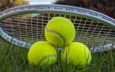 Exigences en matière d&rsquo;accessibilité pour un court de tennis en gazon synthétique à Nice pour les écoles de sport