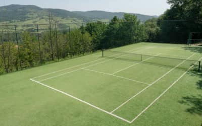 Diversification de l&rsquo;offre sportive : Un Court de Tennis en Gazon Synthétique Nice dans les Alpes-Maritimes