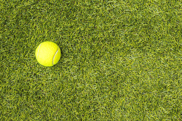 Construction courts de tennis en gazon synthétique Nice