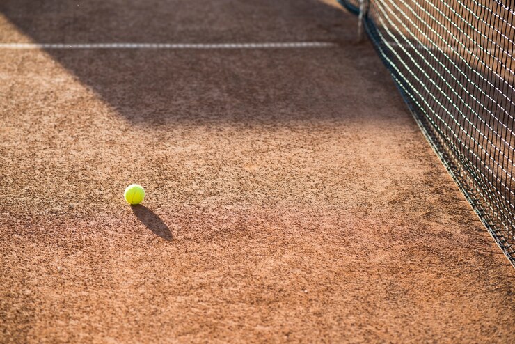 Les risques de négliger la maintenance d&rsquo;un court de tennis en terre battue au Mans