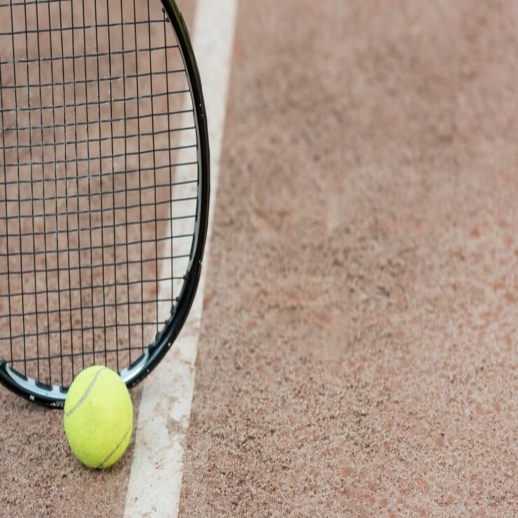 Maintenance court de tennis en Terre Battue Genève