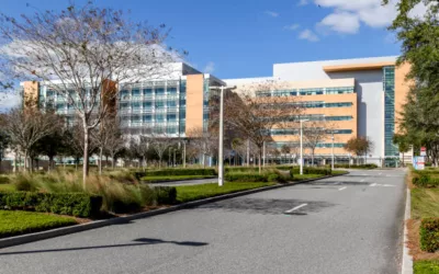 Les Avantages du Béton Poreux dans la Construction des Courts de Tennis à Versailles