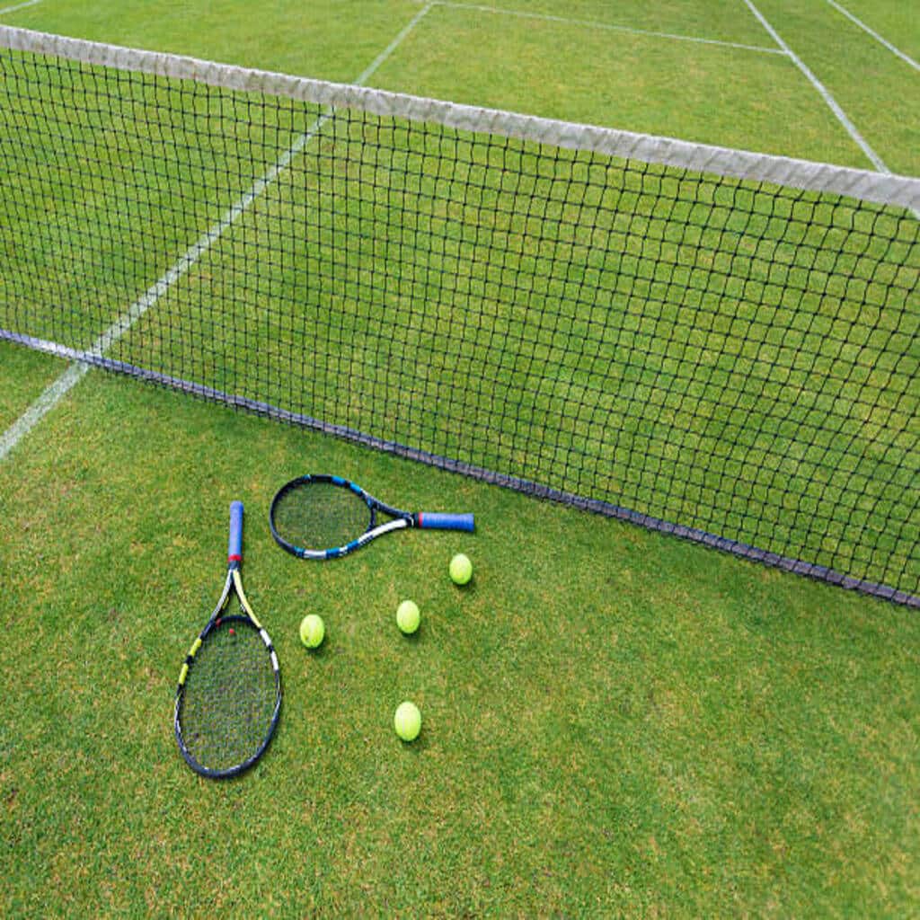 Maintenance court de tennis en Terre Battue Genève