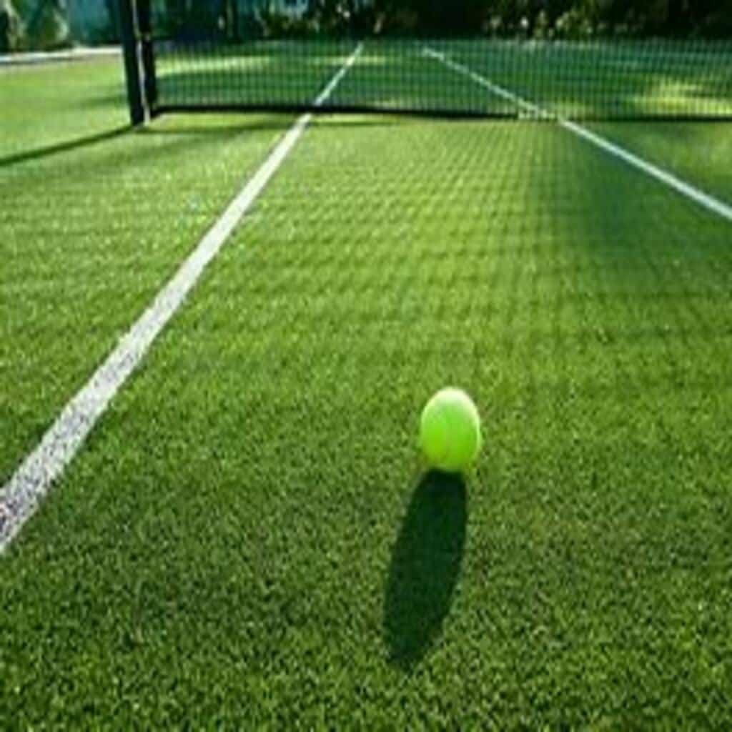 Maintenance court de tennis en Terre Battue Genève