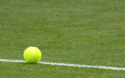 Trouver les Meilleurs Professionnels pour la Réfection d&rsquo;un Court de Tennis à Puget sur Argens