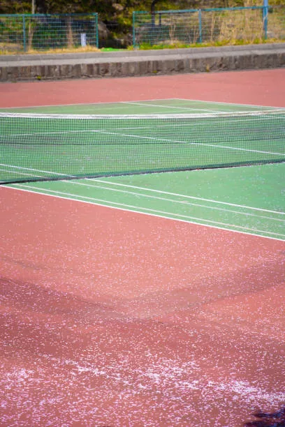 Comment Choisir le Meilleur Service de Maintenance pour un Court de Tennis à Monaco ?