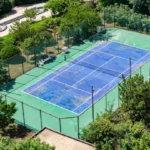 Maintenance court de Tennis Meaux
