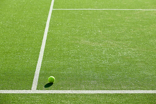 soft focus of tennis ball on tennis grass court good for background