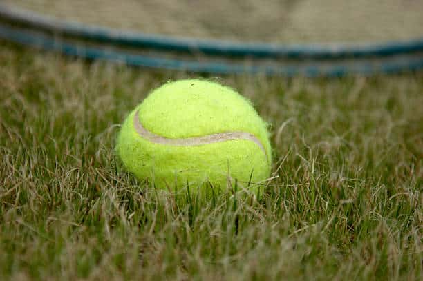 Tennis ball and racquet