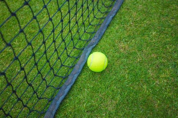 Expertise du Service Tennis dans le cadre de la Construction du Court de Tennis en Gazon Synthétique à Troyes