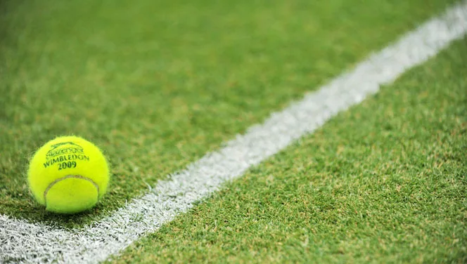 Les Meilleurs Outils pour l&rsquo;Entretien d&rsquo;un Court de Tennis en Gazon Synthétique à Saint Cyr au Mont d&rsquo;Or