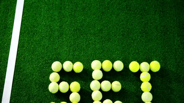 Quel est le coût moyen de la rénovation d&rsquo;un court de tennis à Ecully ?