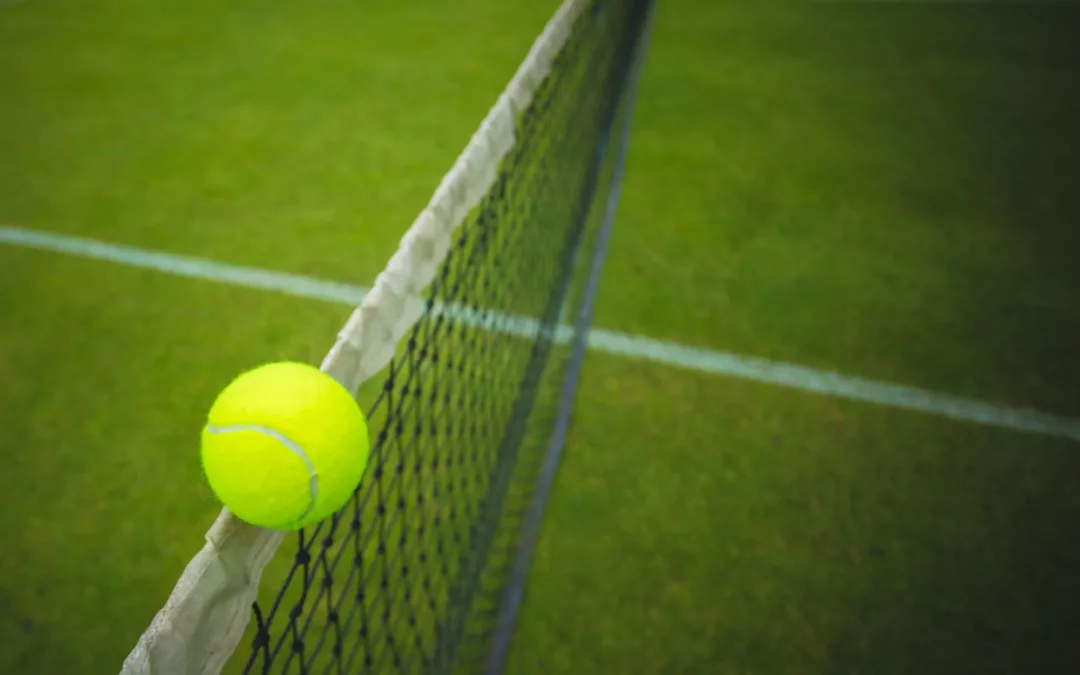 Comment le Gazon Synthétique Contribue à Réduire l&rsquo;Empreinte Environnementale d&rsquo;un Court de Tennis à Grimaud