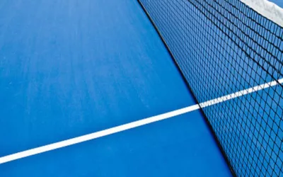 Comment traiter les mousses et algues sur les courts de tennis à Avignon ?