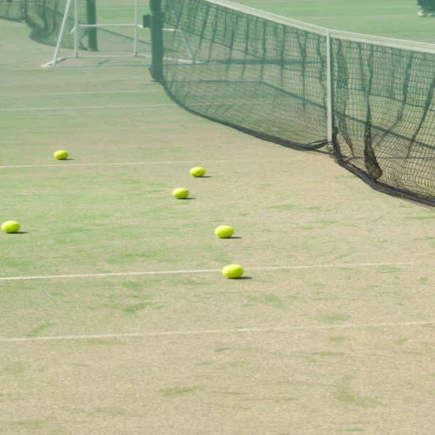 Entreprise terrain de sport