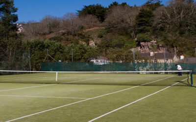 Quels Types de Courts de Tennis Nécessitent une Rénovation Court de Tennis Toulouse Plus Fréquente?