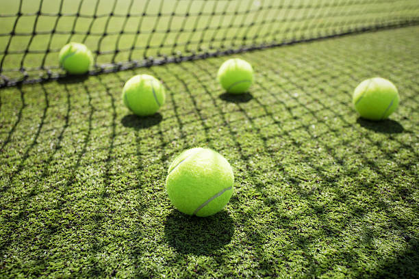 Quels types de services sur mesure propose Service Tennis pour la rénovation de courts de tennis à Mougins ?