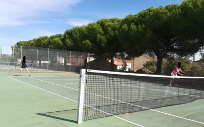 Les Impacts Environnementaux Potentiels de la Rénovation d’un Court de Tennis en Béton Poreux à Paris sur la Qualité du Sol