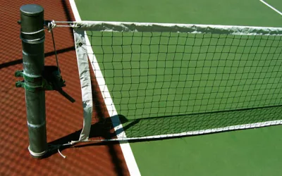 Pourquoi est-il important d&rsquo;évaluer l&rsquo;impact à long terme du béton poreux sur la biodiversité locale lors de la rénovation d&rsquo;un court de tennis à Bourg-en-Bresse ?