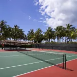 Rénovation court de tennis troyes
