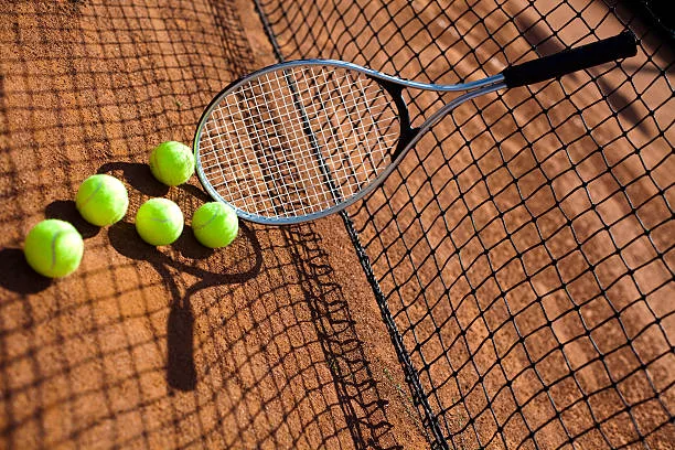 Comment la rénovation d’un court de tennis en terre battue à Paris peut-elle bénéficier à la communauté locale ?