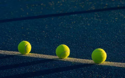 Quels sont les principaux motifs pour réaliser une construction court de tennis à Saint-Tropez dans un jardin privé ?