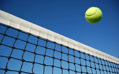Quel type de clôture est le plus adapté à une construction court de tennis à Limoges ?