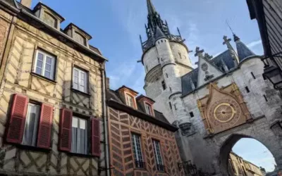 Quels équipements prévoir pour optimiser l’usage d’un court de tennis ?