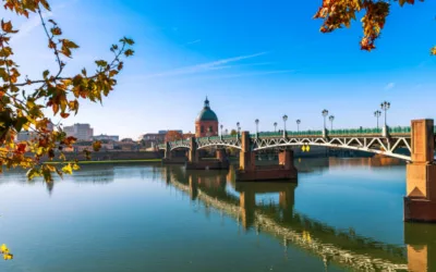 Comment optimiser la performance d’un terrain en gazon synthétique à Dijon ?