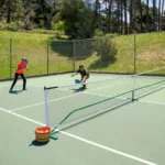 Entreprise construction terrain de pickleball