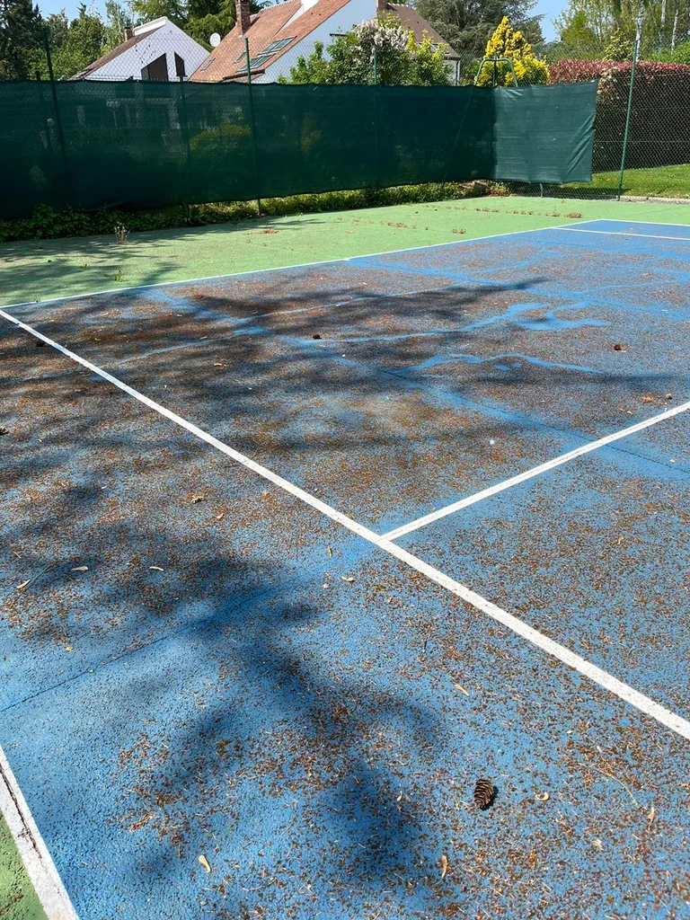 Court de tennis bleu couvert de feuilles avant nettoyage
