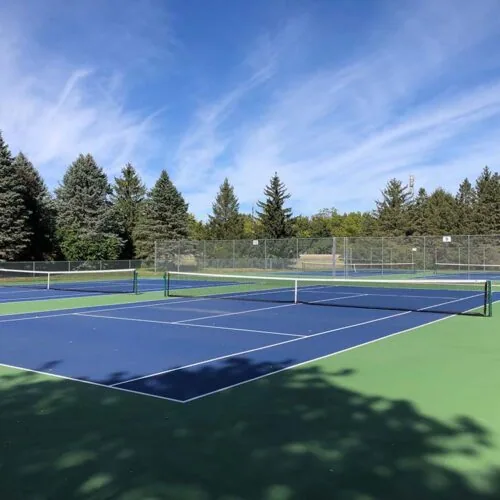 Court de tennis bleu et vert bordé de conifères