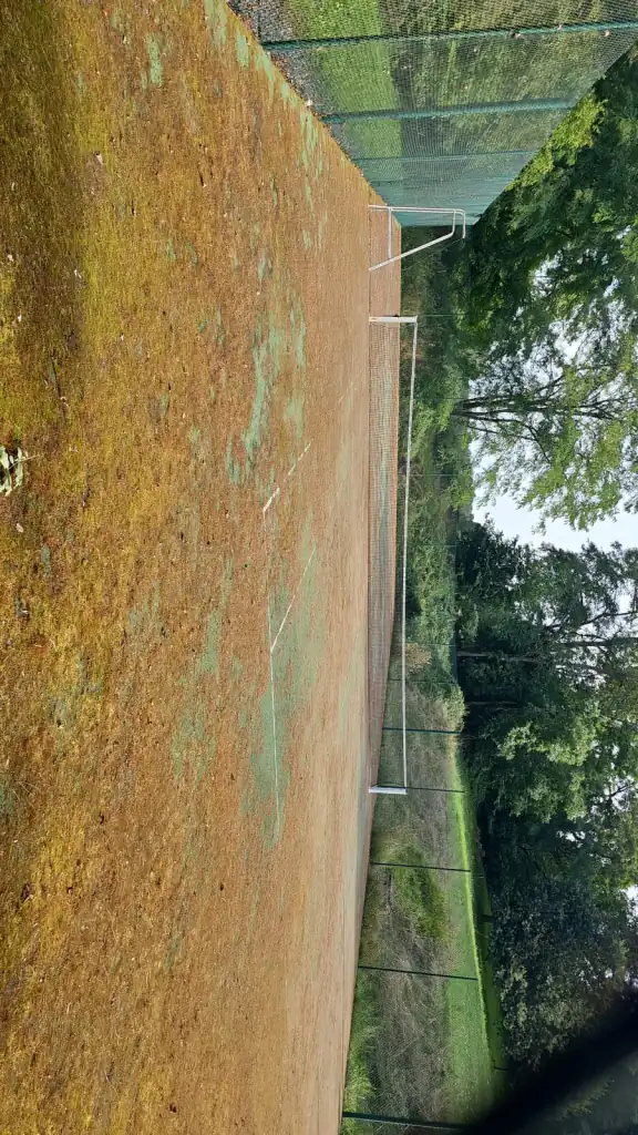 Court de tennis couvert de feuilles et de mousse avant nettoyage