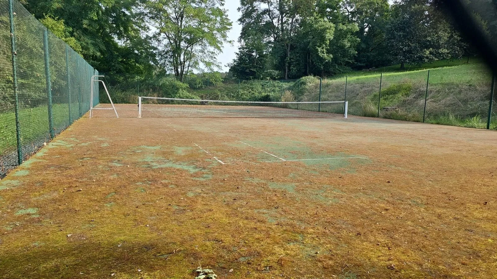Court de tennis envahi par la mousse avant rénovation