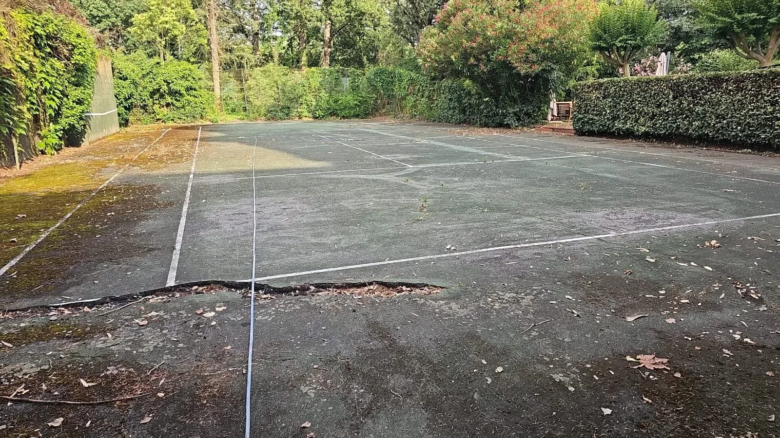 Court de tennis gris fissuré couvert de feuilles, avant travaux